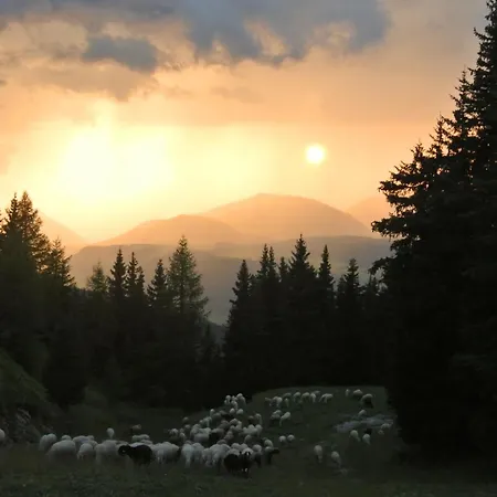 Gasthuis Krummholzhuette Haus im Ennstal