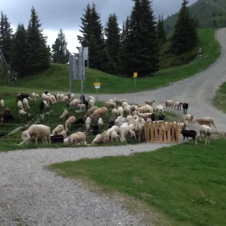Krummholzhuette Haus im Ennstal