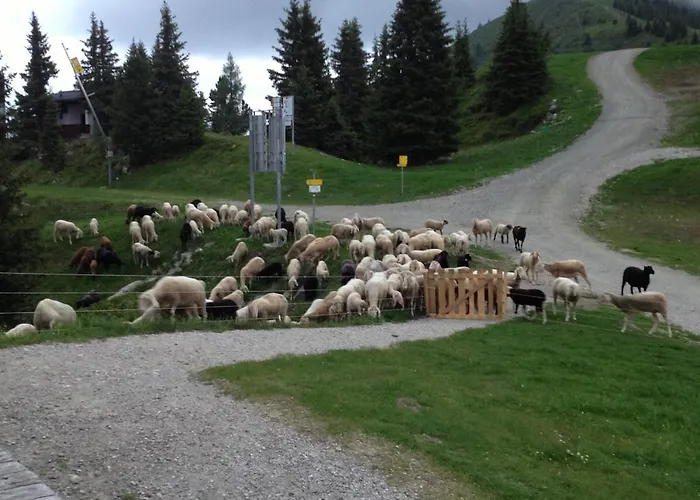 Krummholzhutte هاوس إم إنيستال